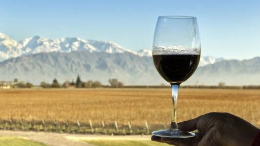 Gobierno de Mendoza comprará 100 millones de litros de vino tinto para elevar su precio
