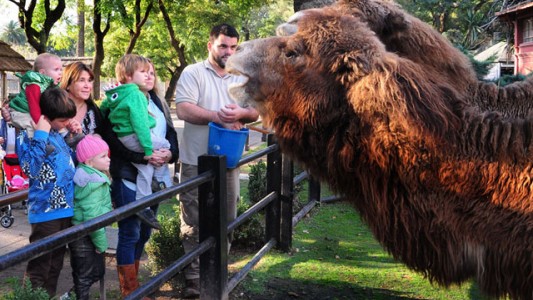 Estas son las fechas de las vacaciones de invierno en la ciudad y el país