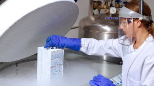 Superó la quimioterapia y fue mamá por un ovario congelado cuando era niña