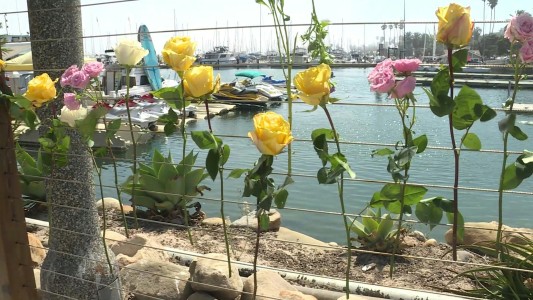 Al menos ocho muertos y más de 20 desaparecidos tras hundimiento de un barco