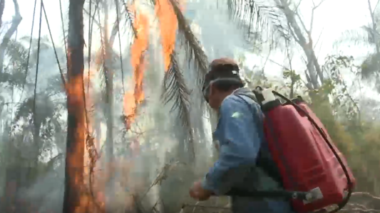Amazonas: recrudecen los incendios en Bolivia (1)