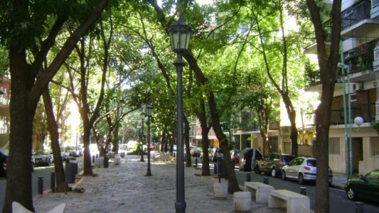 Alarma en Las Cañitas por aparición de perros envenenados