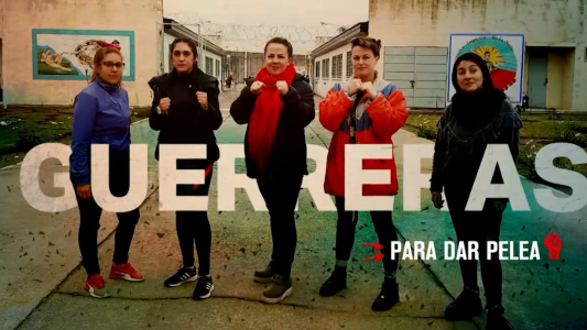 Guerreras: mujeres boxeadoras