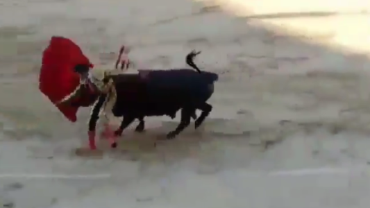Así fue la violenta cornada que recibió un torero y que lo dejó muy grave