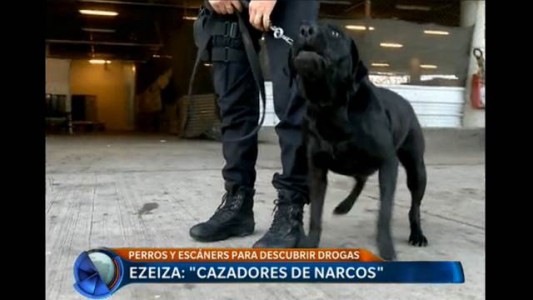 Cazadores de narcos