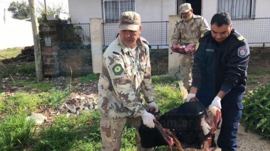 Chica cumplió 15 años y suspendieron su fiesta porque la Justicia incautó la carne para el asado