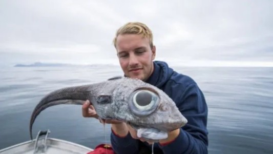 "De aspecto feo, pero sabroso": pescó y fotografíó al pez "dinosaurio"