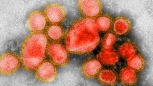 Expertos que una pandemia podría circular por el mundo en 36 horas y matar a 50 millones de personas