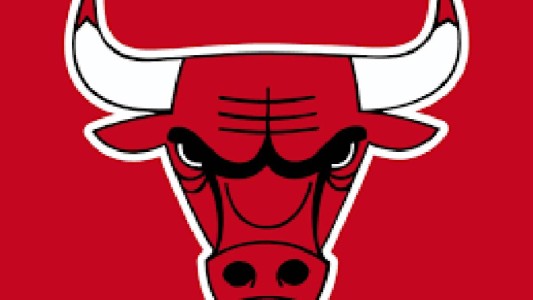 La curiosa imagen sexual que esconde el escudo de los Chicago Bulls
