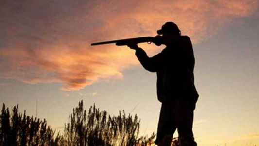 Caza de especies exóticas con balas sin plomo: prueba piloto en parques nacionales