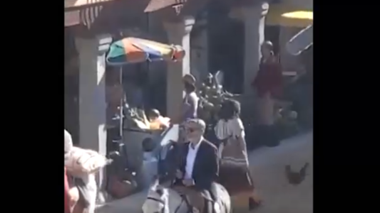 El burro de George Clooney es furor en las redes