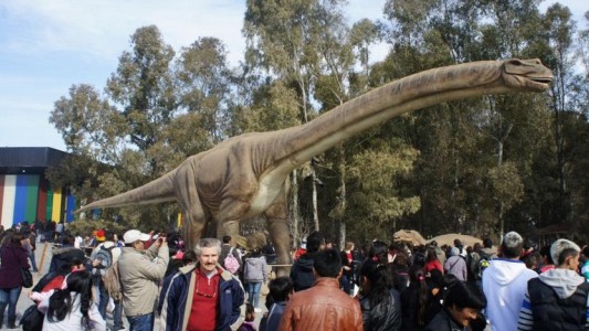 Vacaciones de invierno con actividades literarias, científicas y educativas