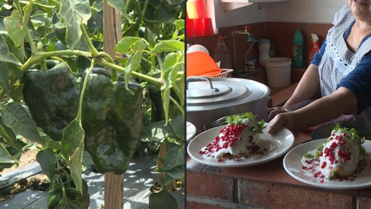 La comida típica mexicana amenazada por semillas chinas