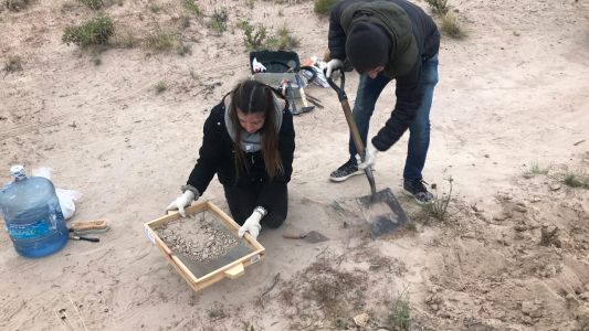 Neuquén: estudiantes encontraron un cocodrilo de 85 millones de años