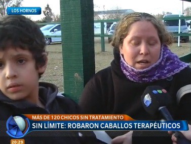 Sin límite: robaron caballos terapeúticos