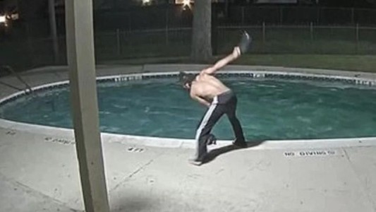 Video escalofriante: detienen a un joven por torturar un gato y tirarlo a la pileta