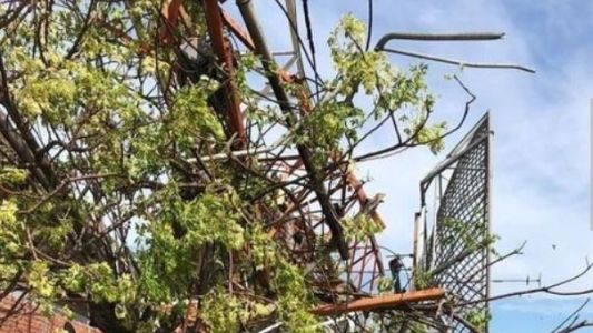 La Plata: cayó una antena sobre un stud del hipódromo y murió un caballo