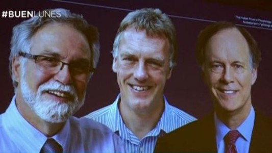 Otorgaron el Nobel de Medicina a los descubridores de una clave de la respiración de las células