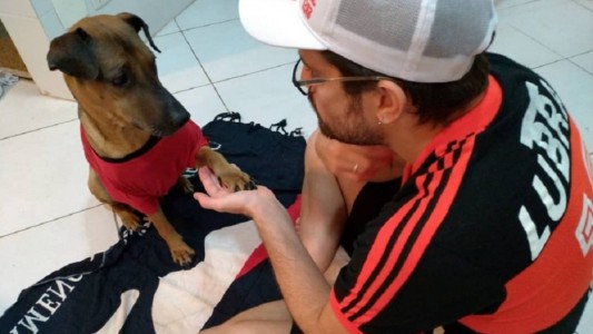 Un hincha vende su entrada de la Copa Libertadores para salvar a su perro con cáncer