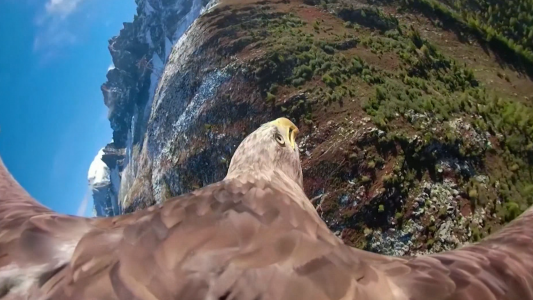 La mirada del águila sobre el Cambio Climático en los Alpes