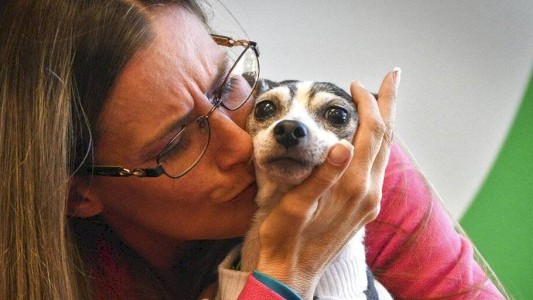 Halló a su perra 12 años después y a 1.600 kilómetros de su casa