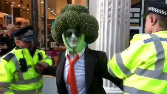 El brócoli, el rabino y la mujer pegada al banco: todos presos