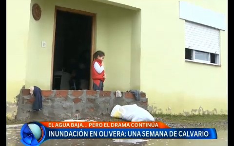 Olivera bajo el agua: una semana de calvario