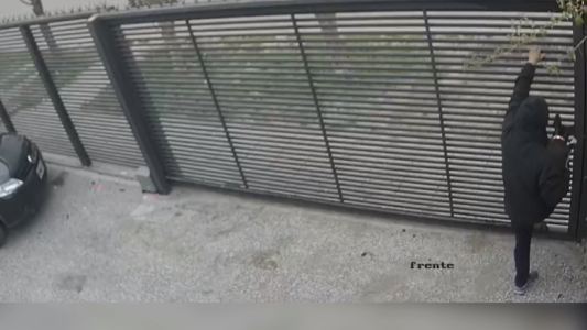 Indignante: le robaron el perro del jardín de su casa