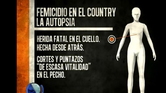 Crimen del country: el cuerpo de la mujer tenía heridas defensivas