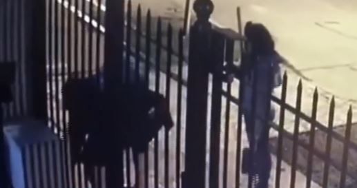 Se robaron el medidor de gas de una casa de San Martín
