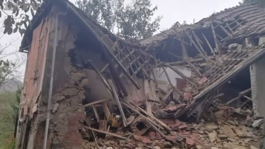 Gatos héroes: salvaron a un matrimonio al que se le derrumbó la casa