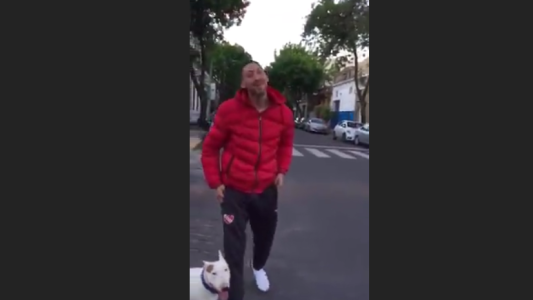 Vecina increpa a hombre que maltrataba a su perro y recibe un golpe