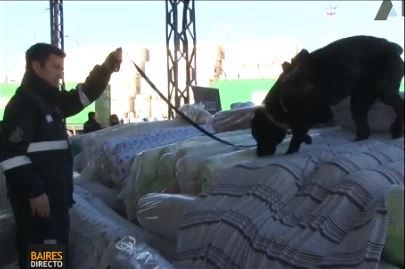 Decomisaron 170 toneladas de telas