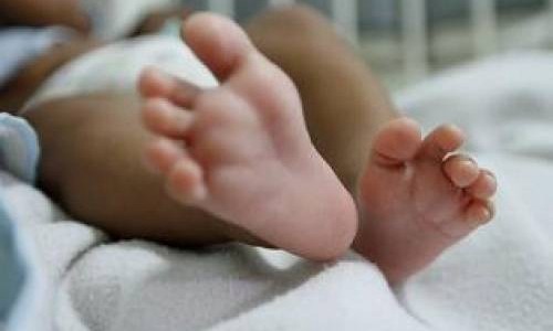 Córdoba: tras un temporal, encontraron un bebé recién nacido debajo de un árbol