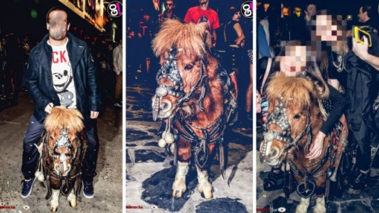 Escándalo: usaron un pony como atracción en una discoteca