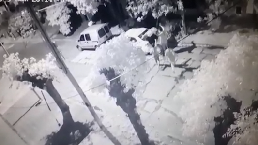 Roban un auto y tiran el coche del bebé al suelo