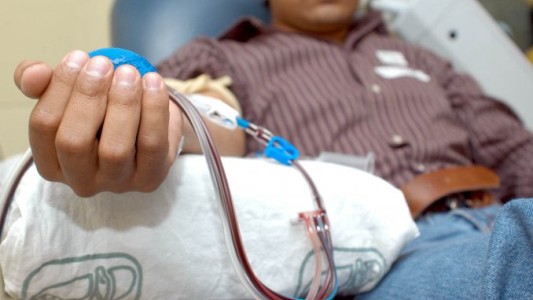 Desde este miércoles, los gays podrán donar sangre
