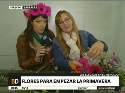 Flores para empezar la primavera
