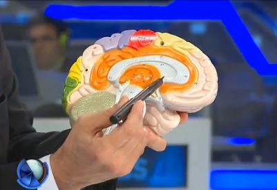 Prevención del Alzheimer: "Aprender cosas nuevas"
