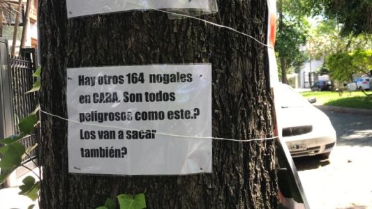 Demoran a una pareja que se encadenó para resistir la tala del árbol de su vereda