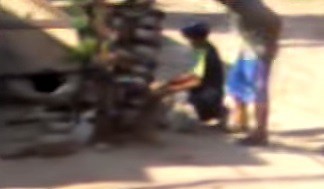 Maltrato animal: un burro sobrecargado cayó al piso y lo mataron a garrotazos