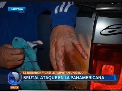Brutal ataque en la Panamericana