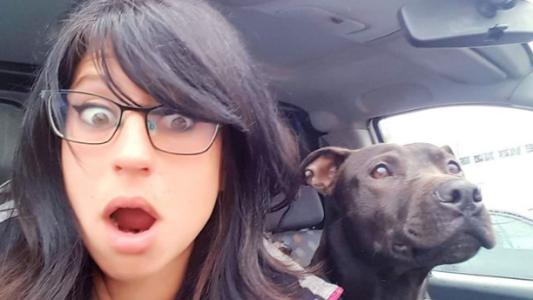 Una mujer embarazada murió por el ataque de una jauría de perros