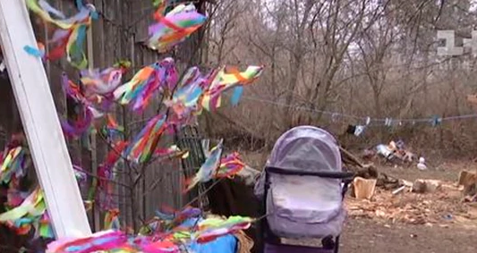 Un gato mató a un bebé: saltó sobre el cochecito y lo asfixió mientras dormía