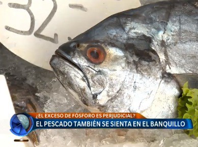 El pescado también se sienta en el banquillo