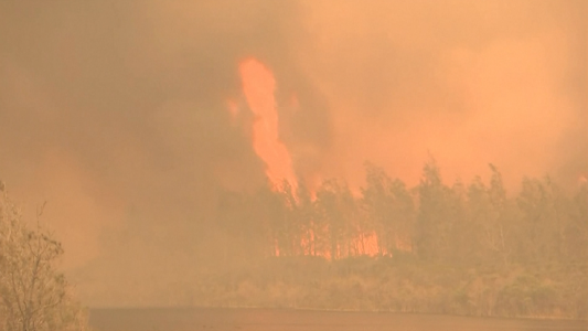 Incendios sin control destruyen cientos de casas en Australia