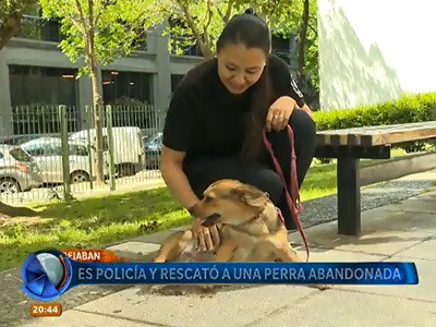 Un hogar para la perra abandonada