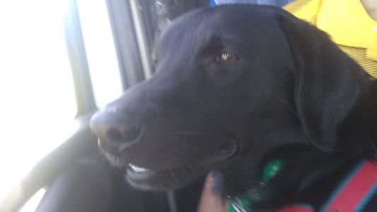 A dedo, "Mario Bross" ya llegó a Corrientes