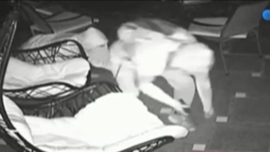 Sigilo perfecto: entraron gateando a robar y sorprendieron a amigas que cenaban