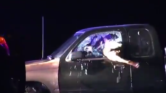 Un perro policía salta dentro de un auto y reduce a un sospechoso